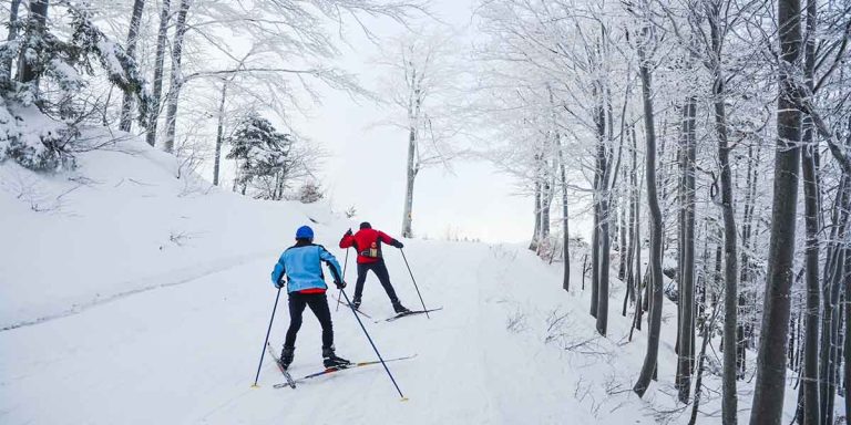 한국에서 평온한 겨울을 보내다: 온천과 스키의 완벽한 조화